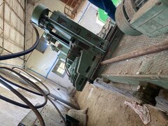 Se vinde Gater Primultini